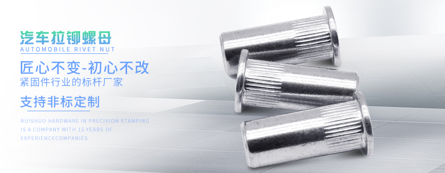 汽车拉铆螺母