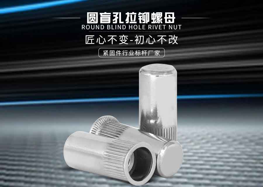 圆盲孔 拉铆螺母